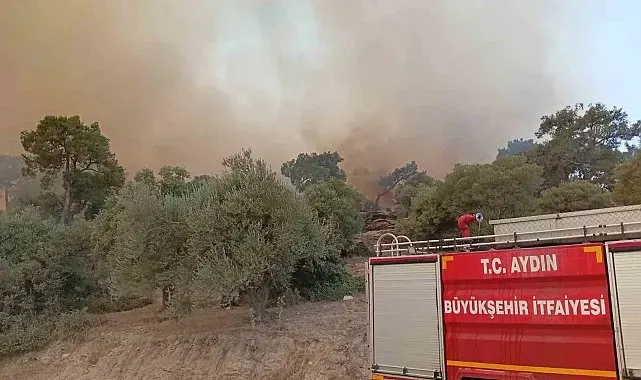 İtfaiye erleri alevlerin arasında kalan kaplumbağayı böyle kurtardı