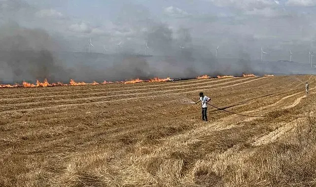 Silivri'de tarla yangınına havadan müdahale ediliyor