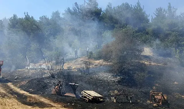Bolu'da otluk alanda çıkan yangın ormanlık alana sıçramadan söndürüldü