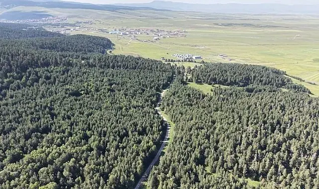 Kars'ta orman yangınlarına karşı yeni tedbirler: Kaynak, spiral ve taşlama çalışmalarına bildirim zorunluluğu