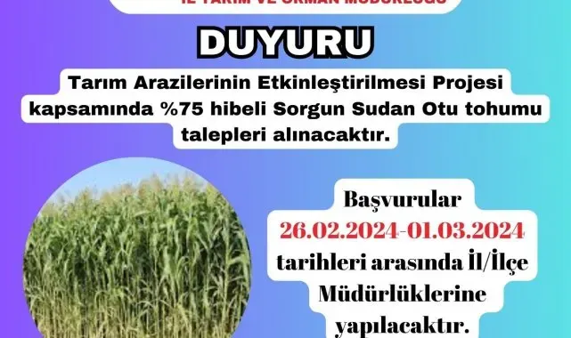 Kütahya'da üreticilere yüzde 75 hibeli sorgun sudan otu tohumu dağıtılacak