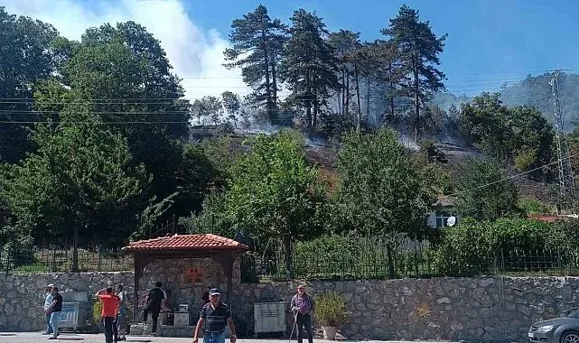 Sinop'taki orman yangınıyla ilgili 1 kişi gözaltında