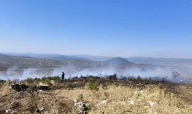 Menteşe'de makilik yangını