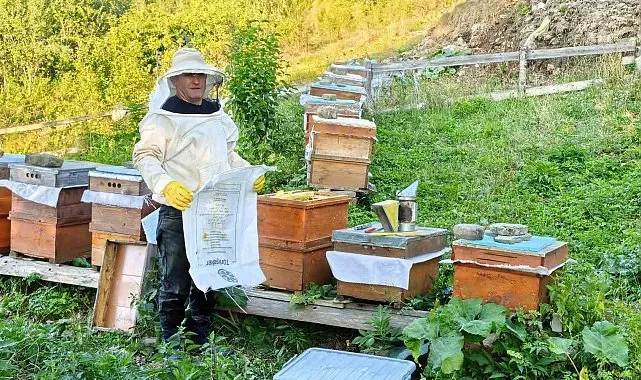 Sinop'un köyünden sofralara doğal bal yolculuğu