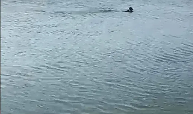 Serinlemek için girdiği göletten cansız bedeni çıktı