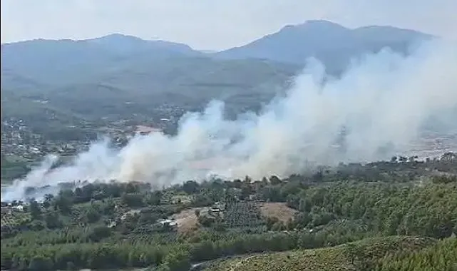 Seydikemer'de orman yangını