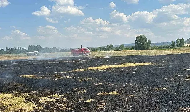 Tavşanlı'da çıkan tarım yangınında 10 dönüm ekili alan zarar gördü