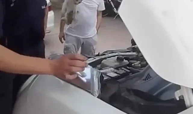 Yalova'da otomobile sıkışan minik kedinin yardımına itfaiye ekipleri yetişti
