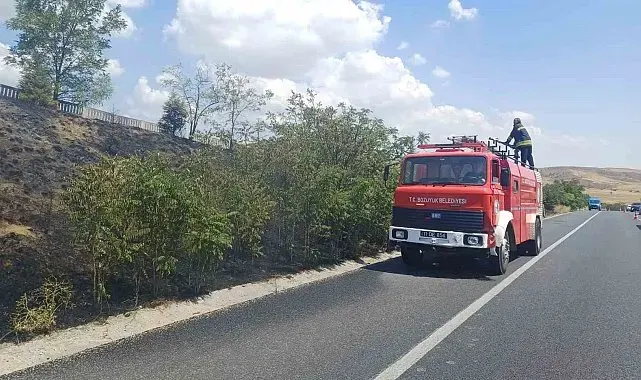 Bilecik'te otluk alanda yangın