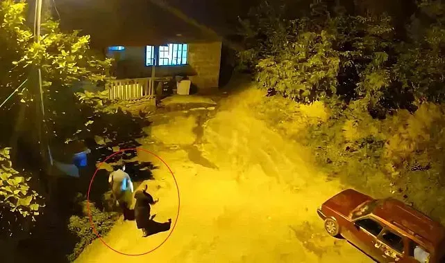 Cesaretleri ayının sesini duyana kadardı