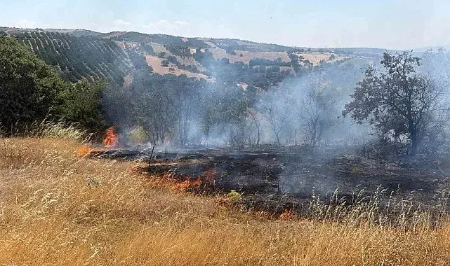 Gördes'te tarım arazisinden ormana sıçrayan yangın kontrol altında