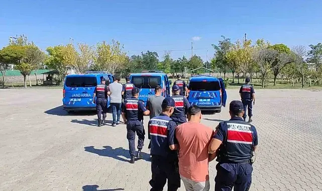 Köpekleri dövüştürüp sosyal medyada paylaştılar, jandarma ekiplerince operasyonla yakalandılar