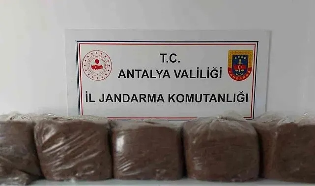 Alanya ve Demre'de 285 kilo kaçak tütün ele geçirildi