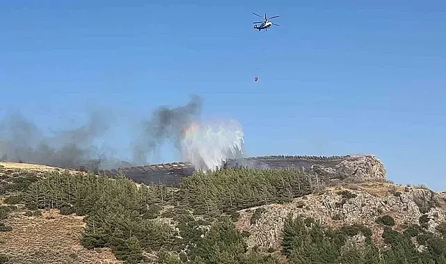 Hatay'da orman yangınına havadan ve karadan müdahale sürüyor
