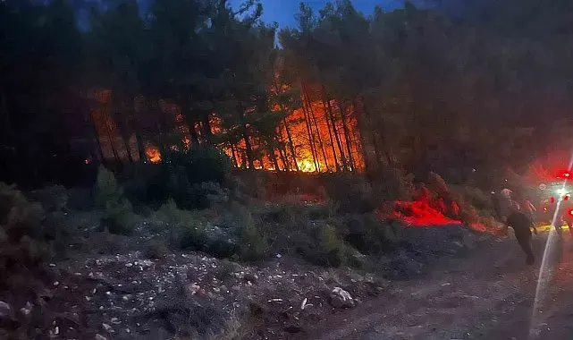 Alanya'da ormanlık alanda çıkan yangın kontrol altına alındı
