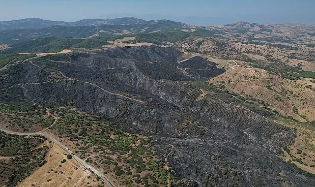 Yangının bilançosu gün ağarınca ortaya çıktı