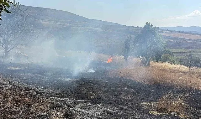Biçimi yapılmış buğday tarlasında yangın