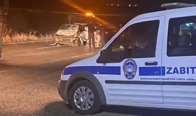 Otomobilin yolda çarptığı 4 at öldü, araçtaki 5 kişi yaralandı