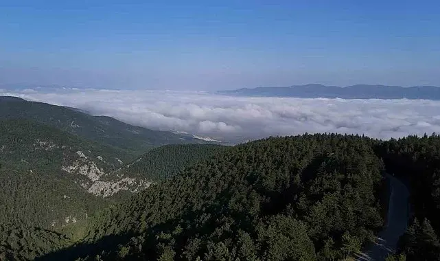 Bulut denizi ortaya kartpostallık manzara çıkardı