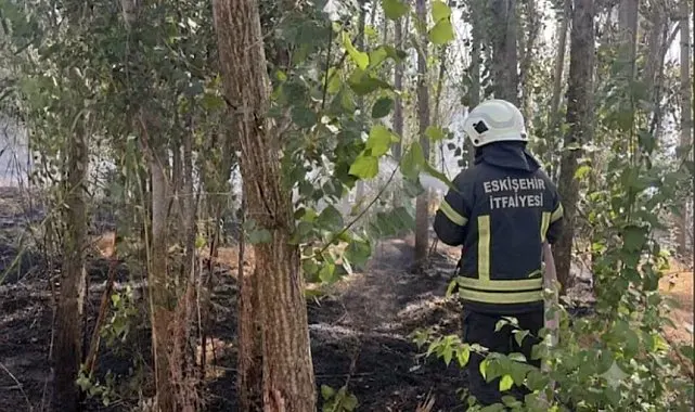 Emirdağ'da anız ve ağaçlık alanda yangın