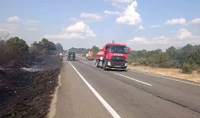 Meriç'teki orman yangınında 20 hektar alan zarar gördü