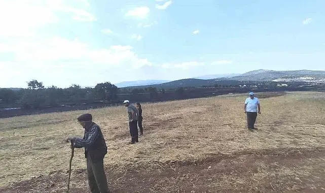 Kütahya'da yangının ardından tarım arazilerinde hasar tespiti