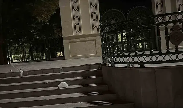 Eskişehir'de parktaki bıçaklı kavganın şüphelisi tutuklandı