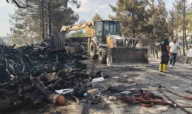 Mersin'de kaza sonrası araçlar alev aldı, yangın ormana sıçradı: 1 ölü, 2 yaralı