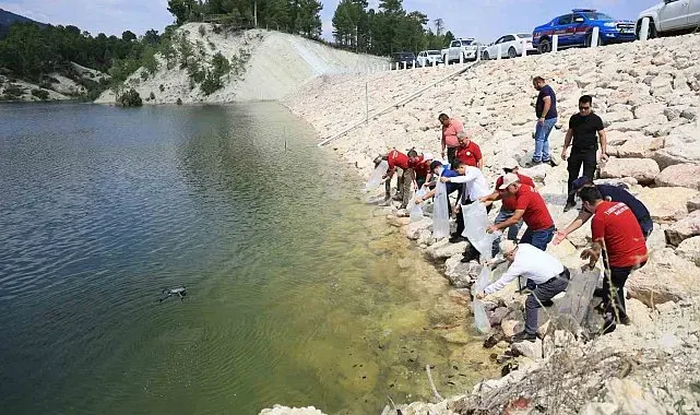 Denizli'de iç sulara can suyu: İl genelinde 1 milyon 386 bin balık bırakıldı