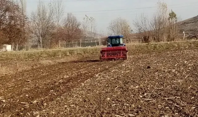 Bin yıllık ata tohumu 'Karakılçık' buğdayı toprakla buluştu