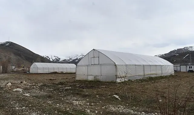 Erzincan'da sera örtüsü yenileme desteği başvuruları uzatıldı
