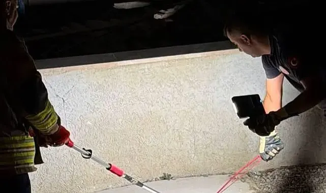 Hatay'da eve giren yılanları itfaiye yakaladı