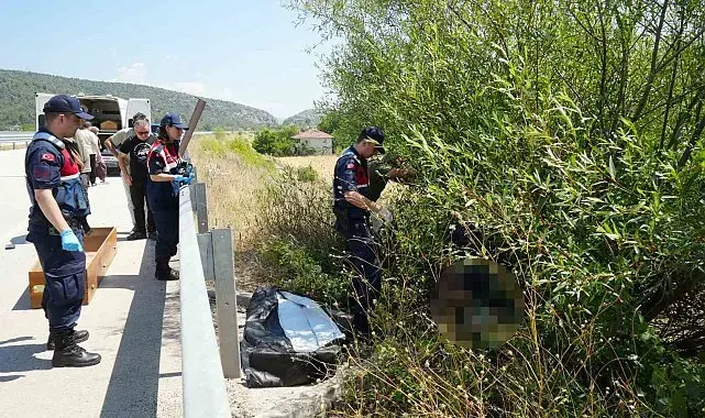 Otomobilin çarptığı bisikletli ağacın altında ölü bulundu, kaçan sürücü kısa sürede yakalandı