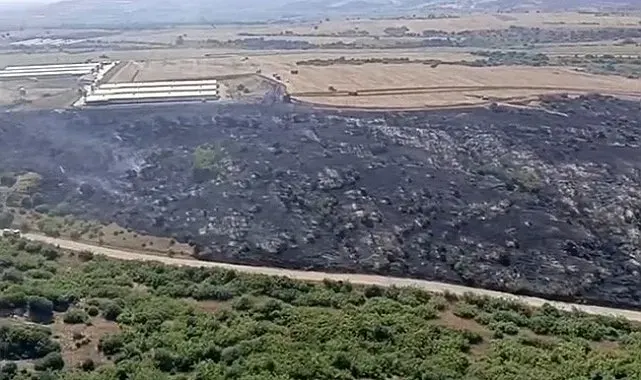 Karacabey'de makilik alandaki yangın fabrikaya ulaşmadan söndürüldü