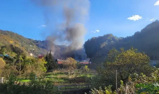 Giresun'da fabrikada yangın