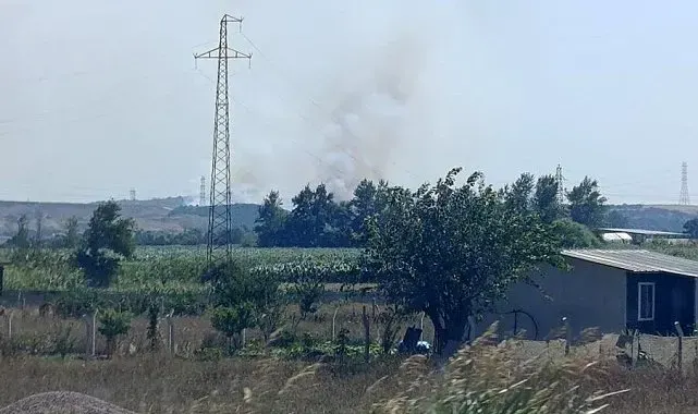 Karacabey'de makilik alanda orman yangını