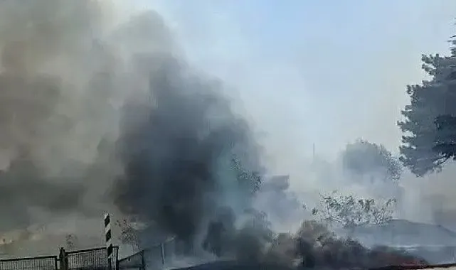 Eskişehir'de otluk alanda yangın