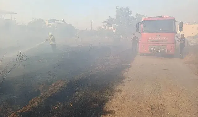 Hassa'da zeytinlik yangını yaşandı