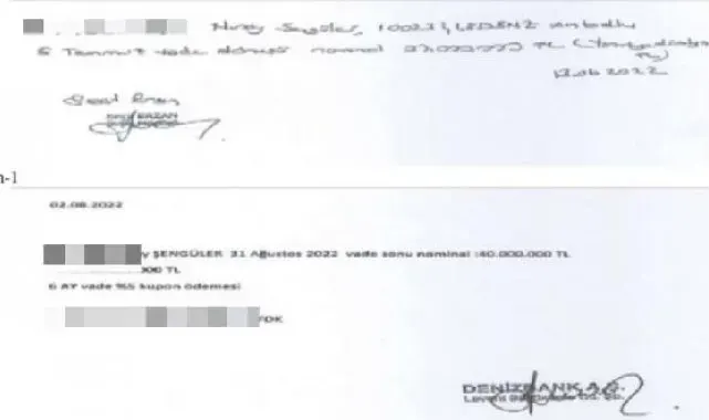 Seçil Erzan'dan ikinci ifade: Koluma serumlar takılarak bana 'bu işi banka dışında yaptın' diye söylettirdiler