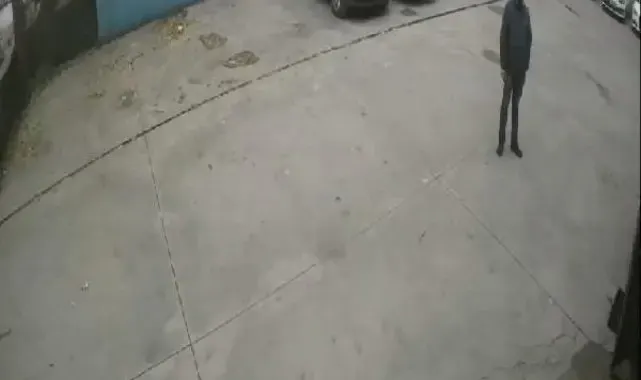 Rüzgarın devirdiği ağaç, aydınlatma direğini kırdı