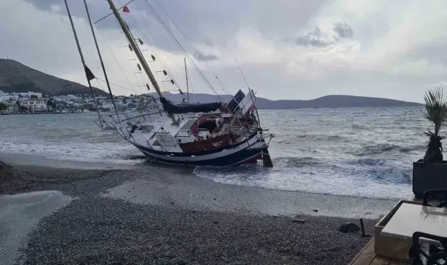 Bodrum'da düzensiz göçmen teknesi karaya vurdu