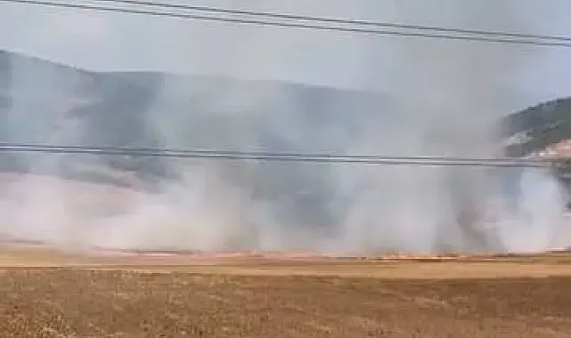 Bursa'da tarlalık alanı ateşe veren şüpheli yakalandı