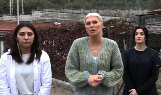 Bilecik'te 14 köpek ölü bulundu; savcılık soruşturma başlattı