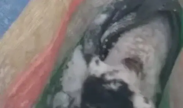 Karlı havada yayladan göçerken unutulan kuzuyu kurtarmak için seferber oldular