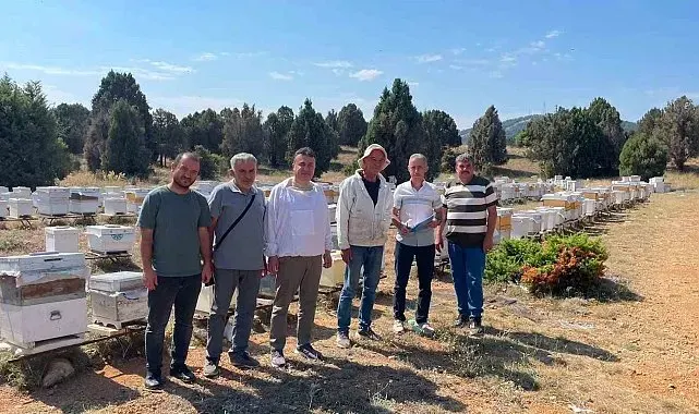 Beyşehir'de arılı kovanlar tek tek sayılıyor