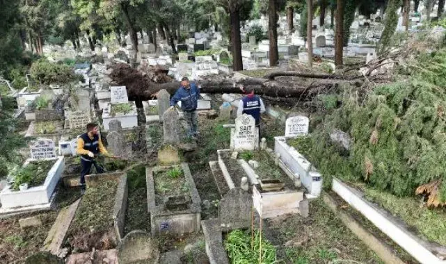 Zonguldak'taki fırtınada devrilen ağaçlar nedeniyle 300 mezar hasar gördü