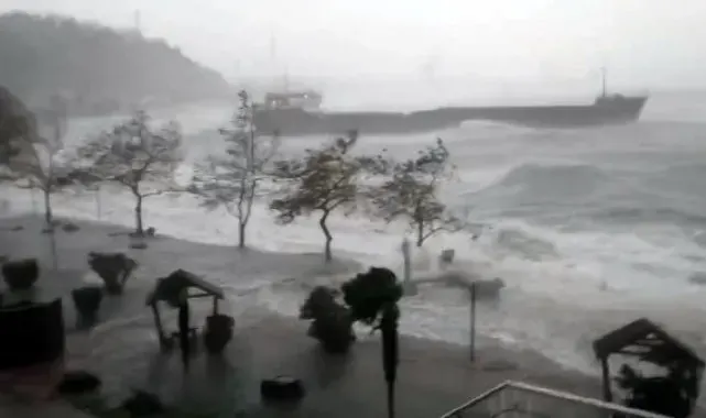 Zonguldak'ta sağanak ve fırtına; ağaçlar devrildi, gemi karaya oturdu