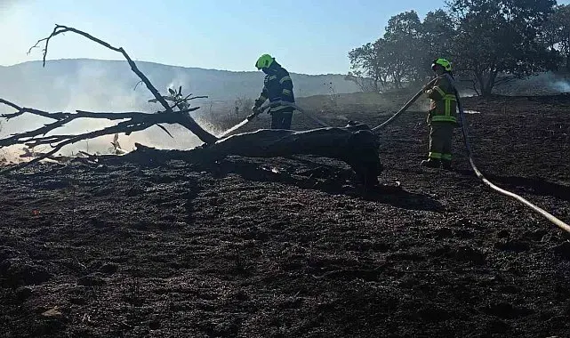 Balıkesir İtfaiyesi temmuz ayında bin 521 olaya müdahale etti