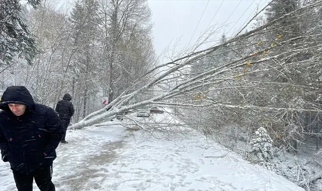 Bolu, Karabük, Sakarya ve Zonguldak'ta kar yağışı