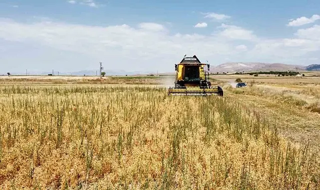 Borsa-20 nohut çeşidinde ilk hasat heyecanı yaşandı